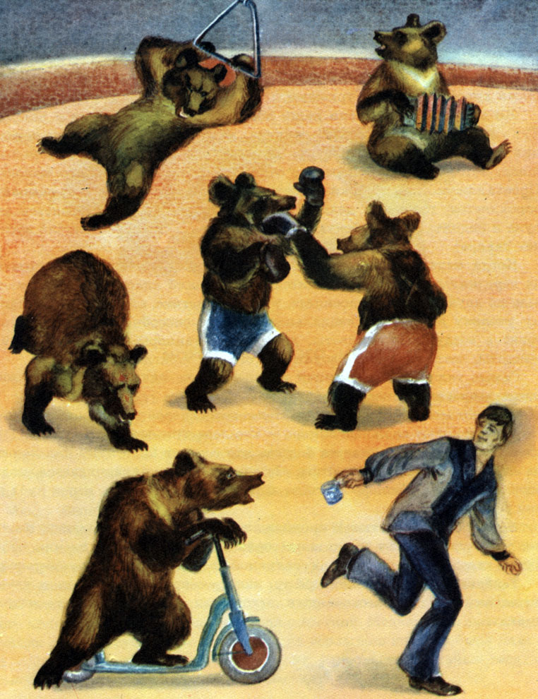 Медведи разбиты по возрасту на три группы: детский сад, школа и артистическая бригада
