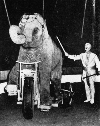 Слон-велосипедист. Герхард Квайзер