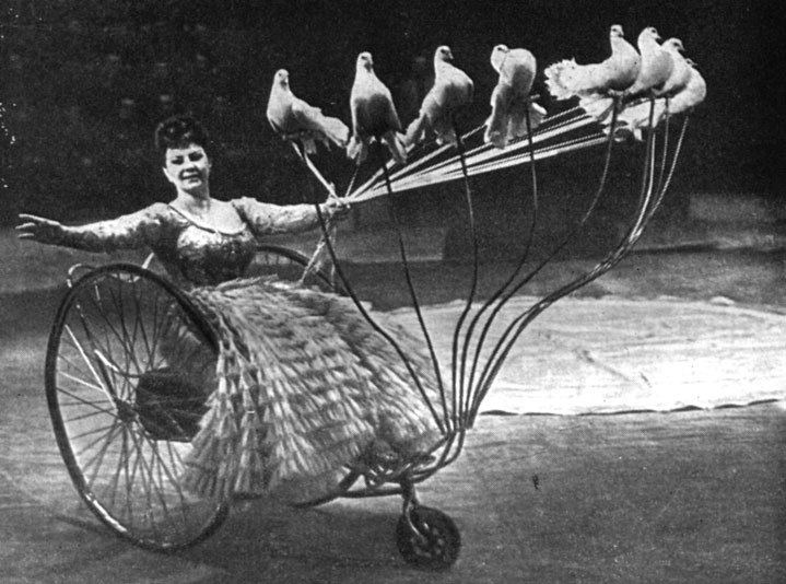 В изящном кабриолете выезжает Любовь Жирнова - дрессировщица голубей